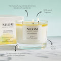 Feel Refreshed Scented Candle (3 Wick)